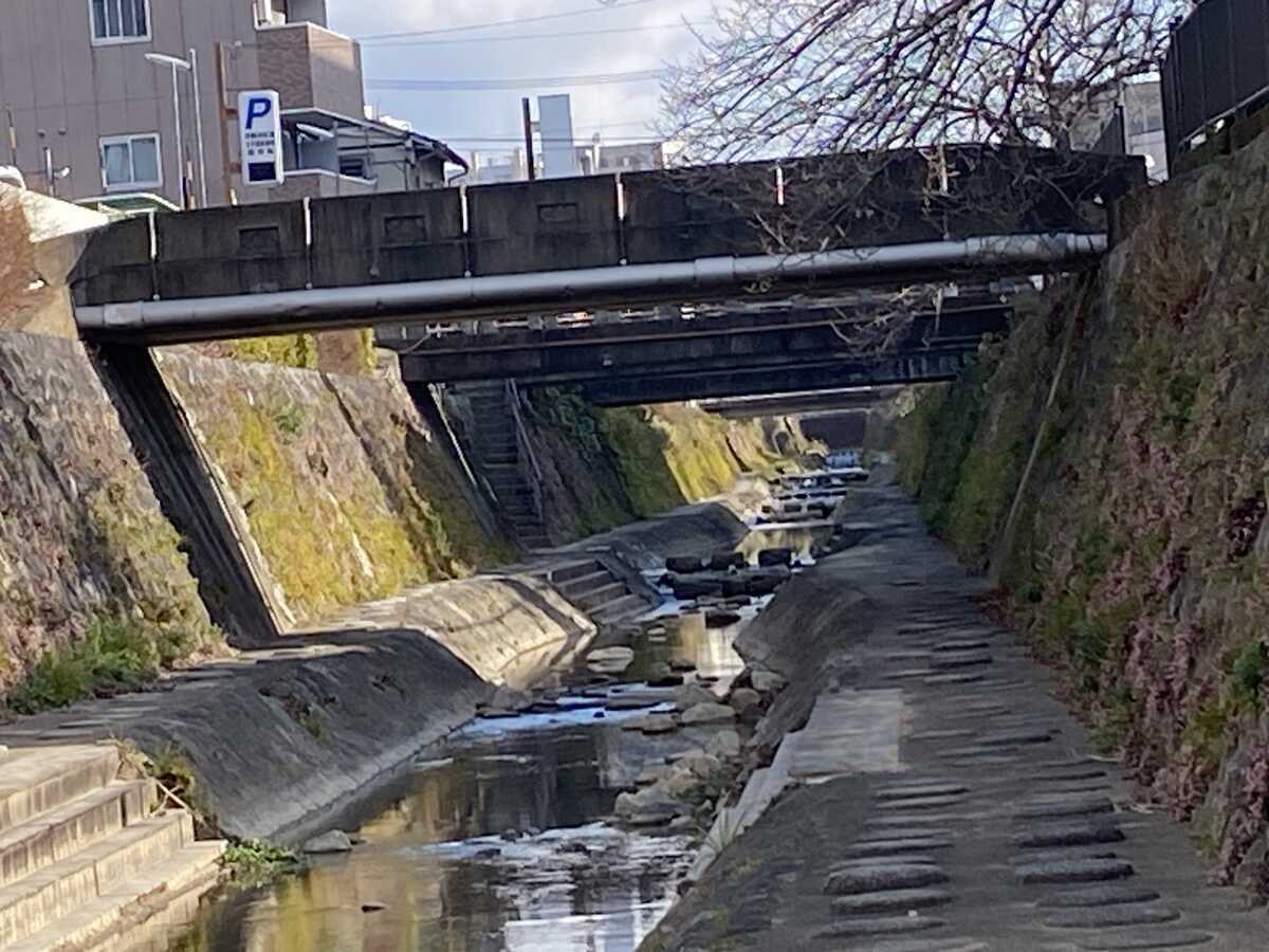 天神川（京都市）