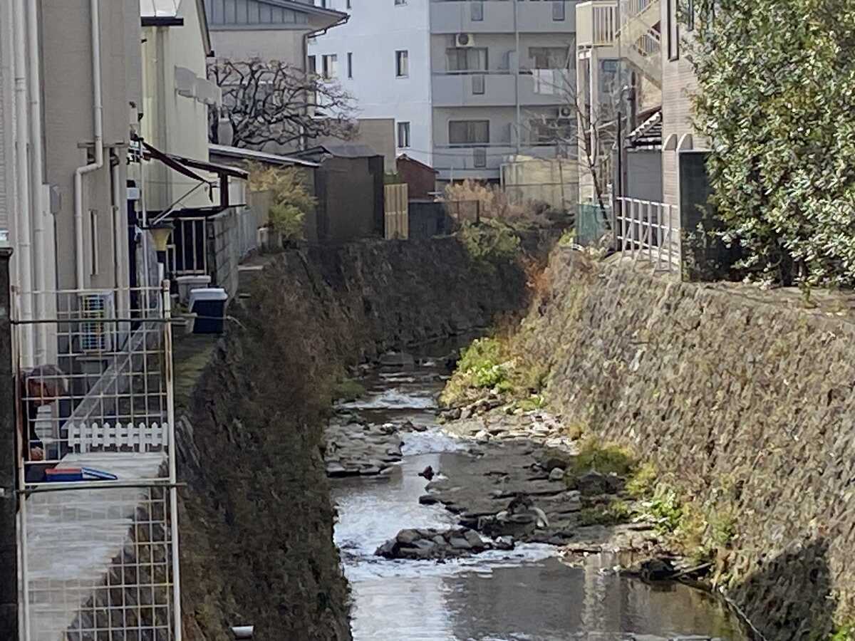 天神川（京都市）