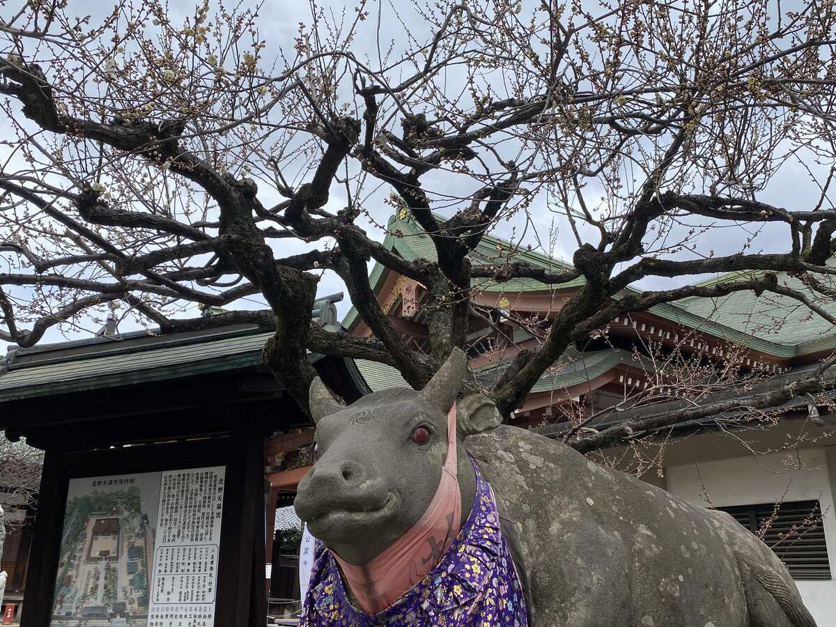 京都・北野天満宮　牛の像