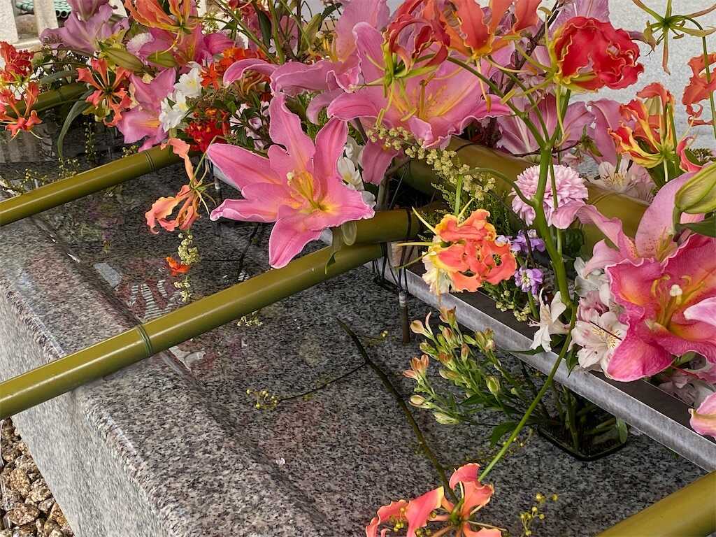 f:id:m3785com:20240211113919j:image