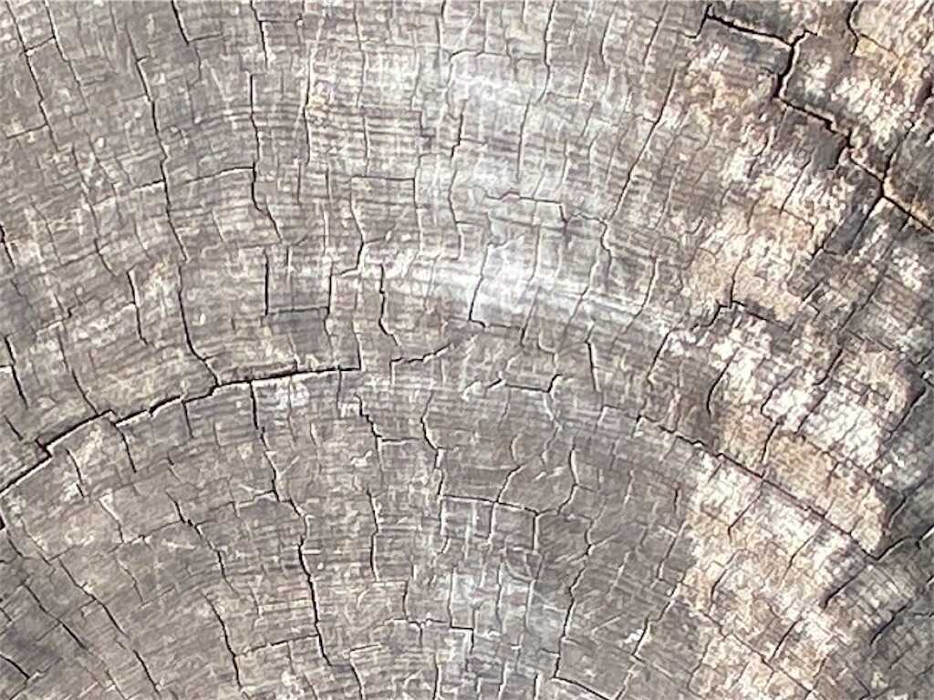 f:id:m3785com:20240211150527j:image