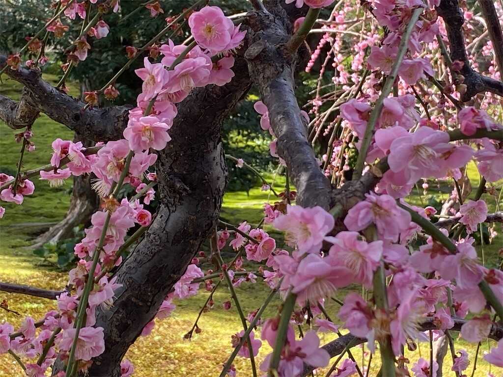 f:id:m3785com:20240310145322j:image