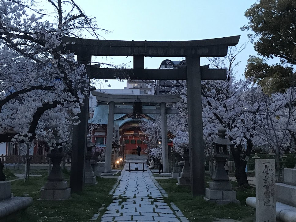 土佐稲荷神社　2021年３月26日桜