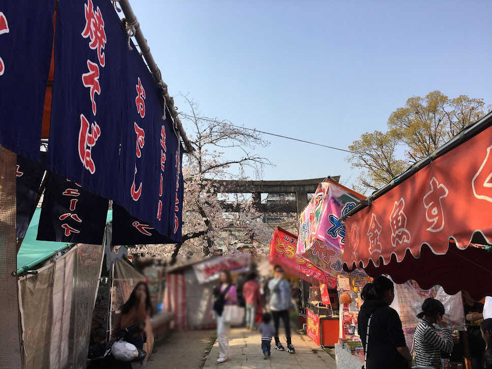 土佐稲荷神社　2019年4月6日桜