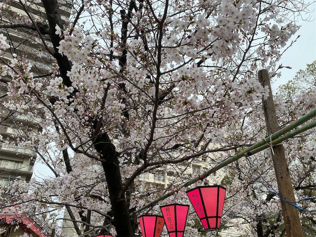 f:id:m3785com:20240403170202j:image