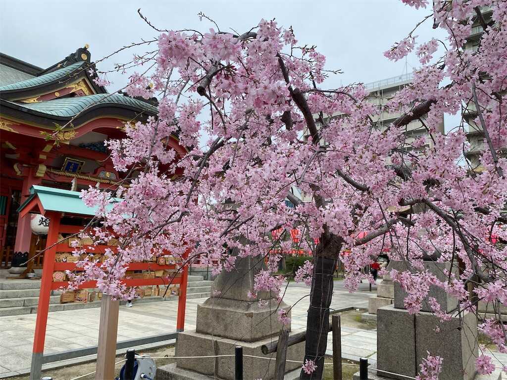 f:id:m3785com:20240403171550j:image