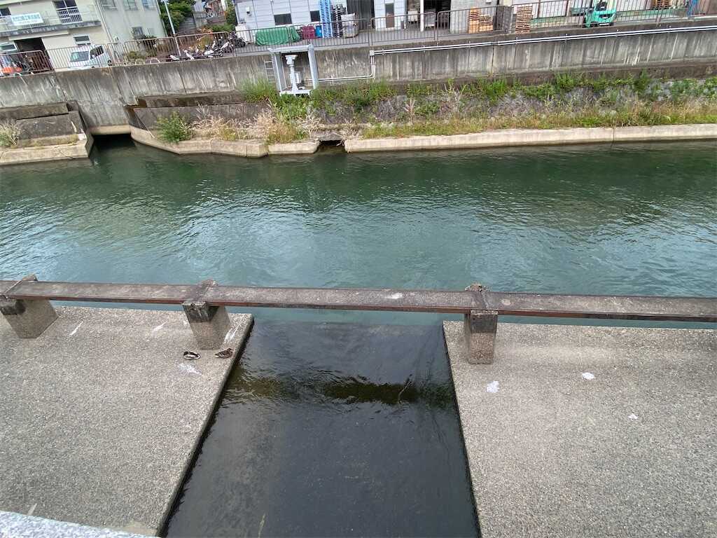 f:id:m3785com:20240618195319j:image