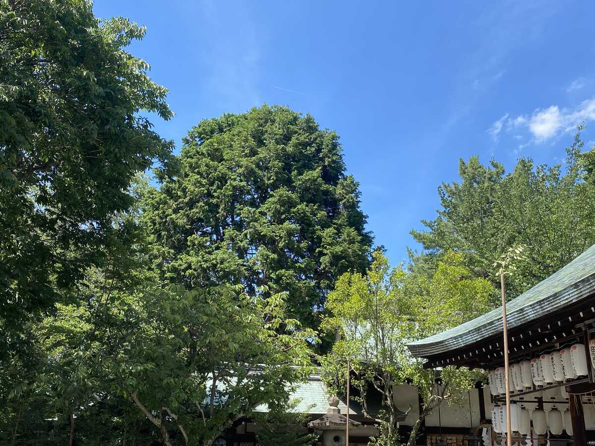白峯神宮