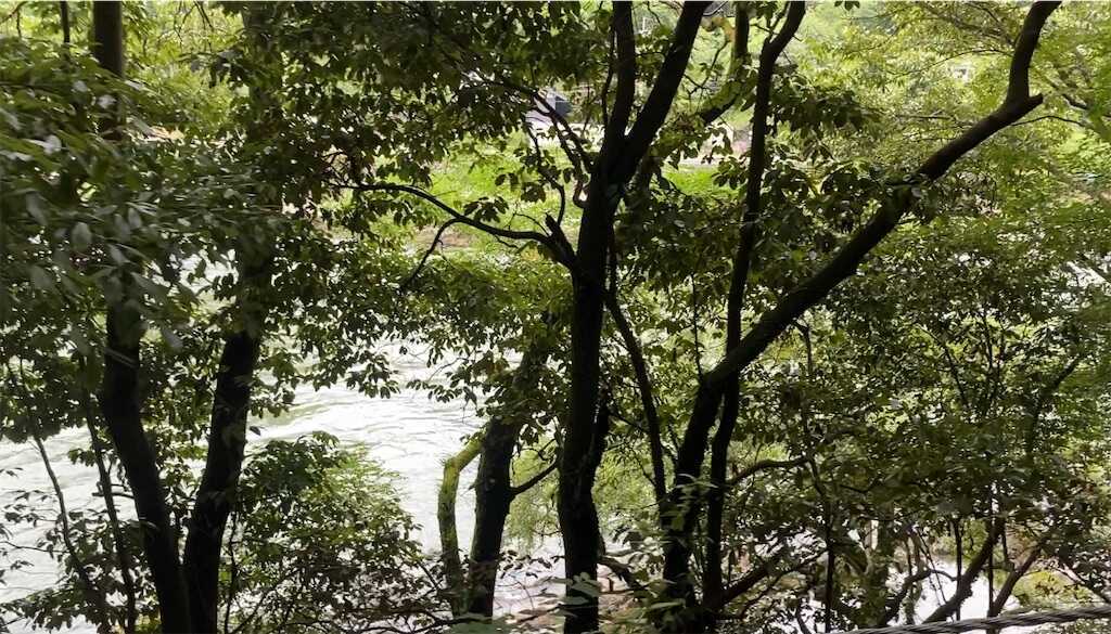 f:id:m3785com:20240717200928j:image