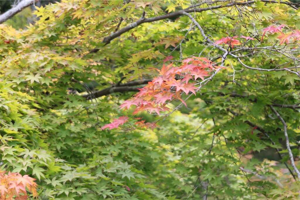 f:id:m3785com:20240902204702j:image
