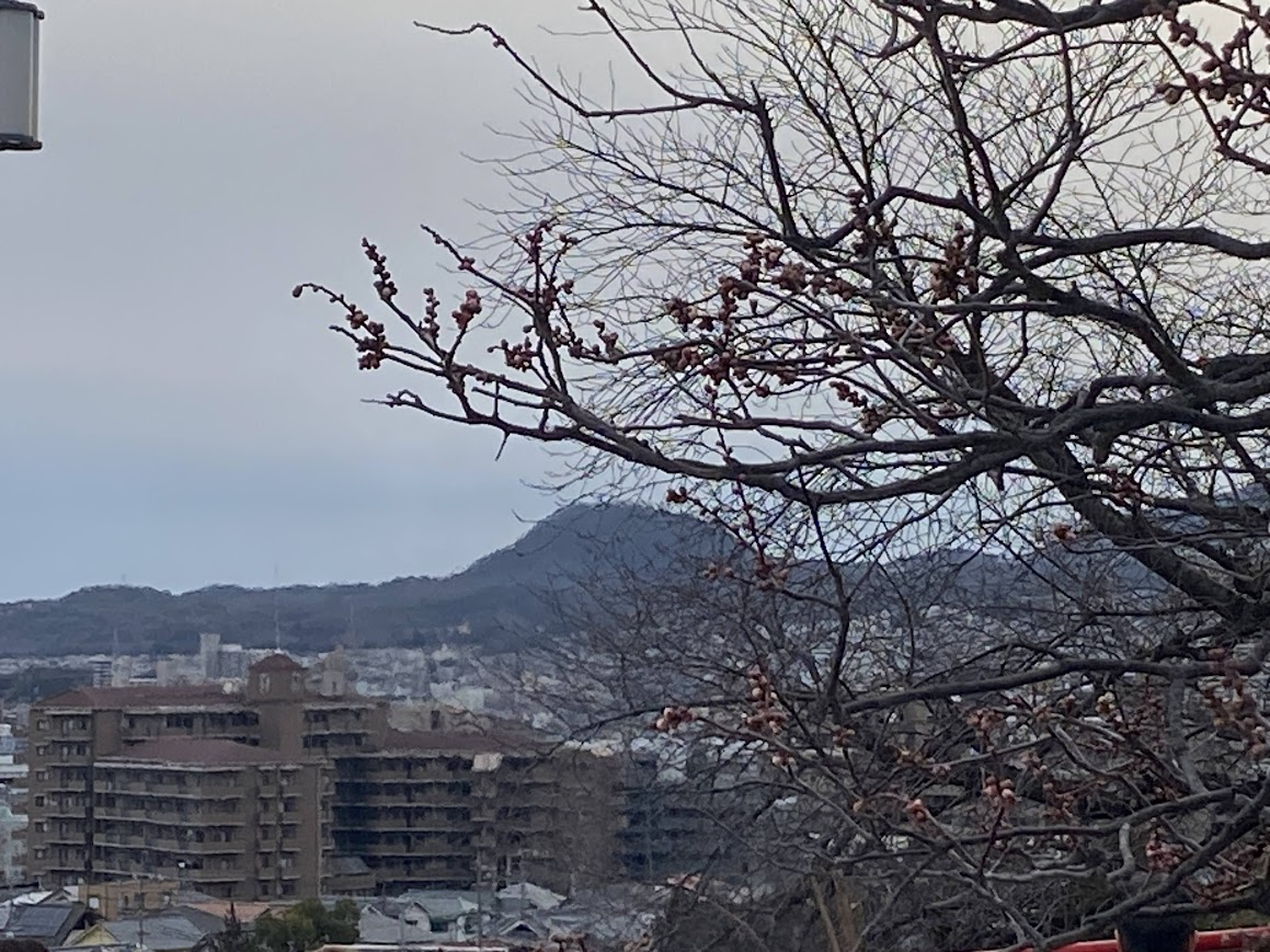 甲山　中山寺から