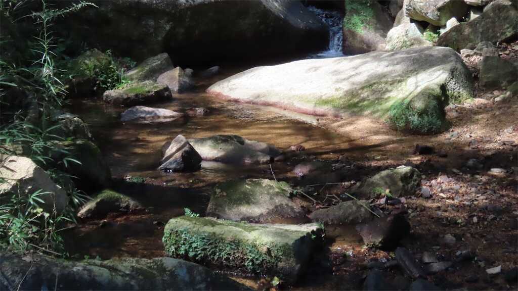 f:id:m3785com:20240927105505j:image
