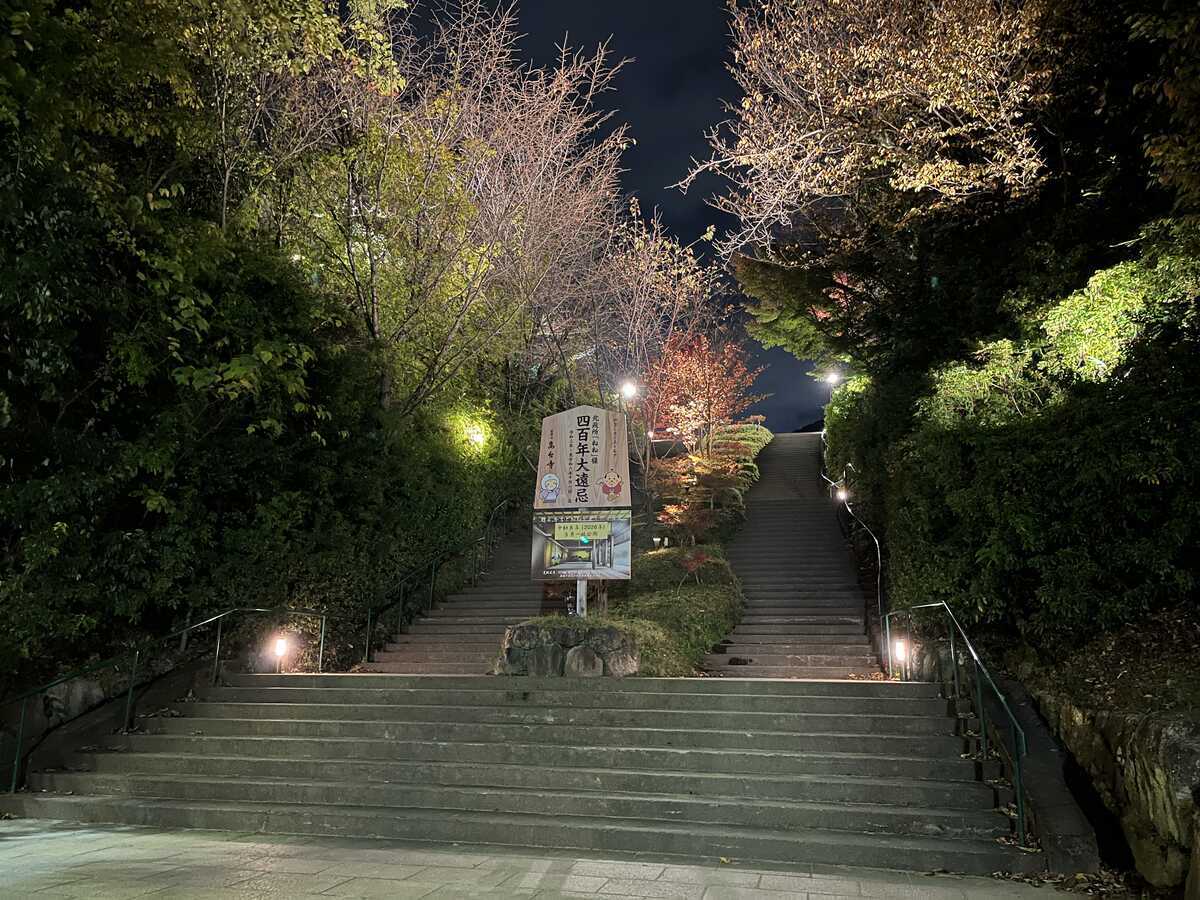 高台寺　ライトアップ2024