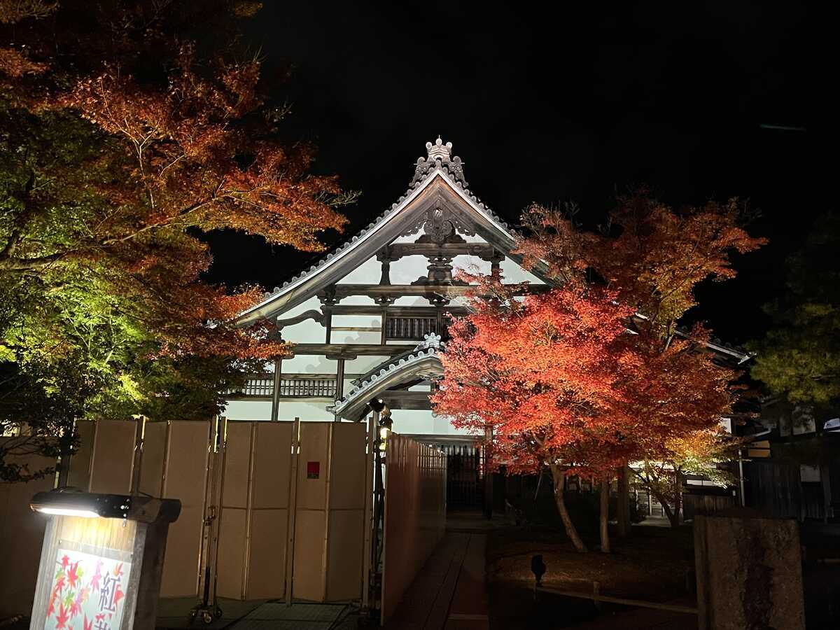 高台寺　秋の夜間特別拝観