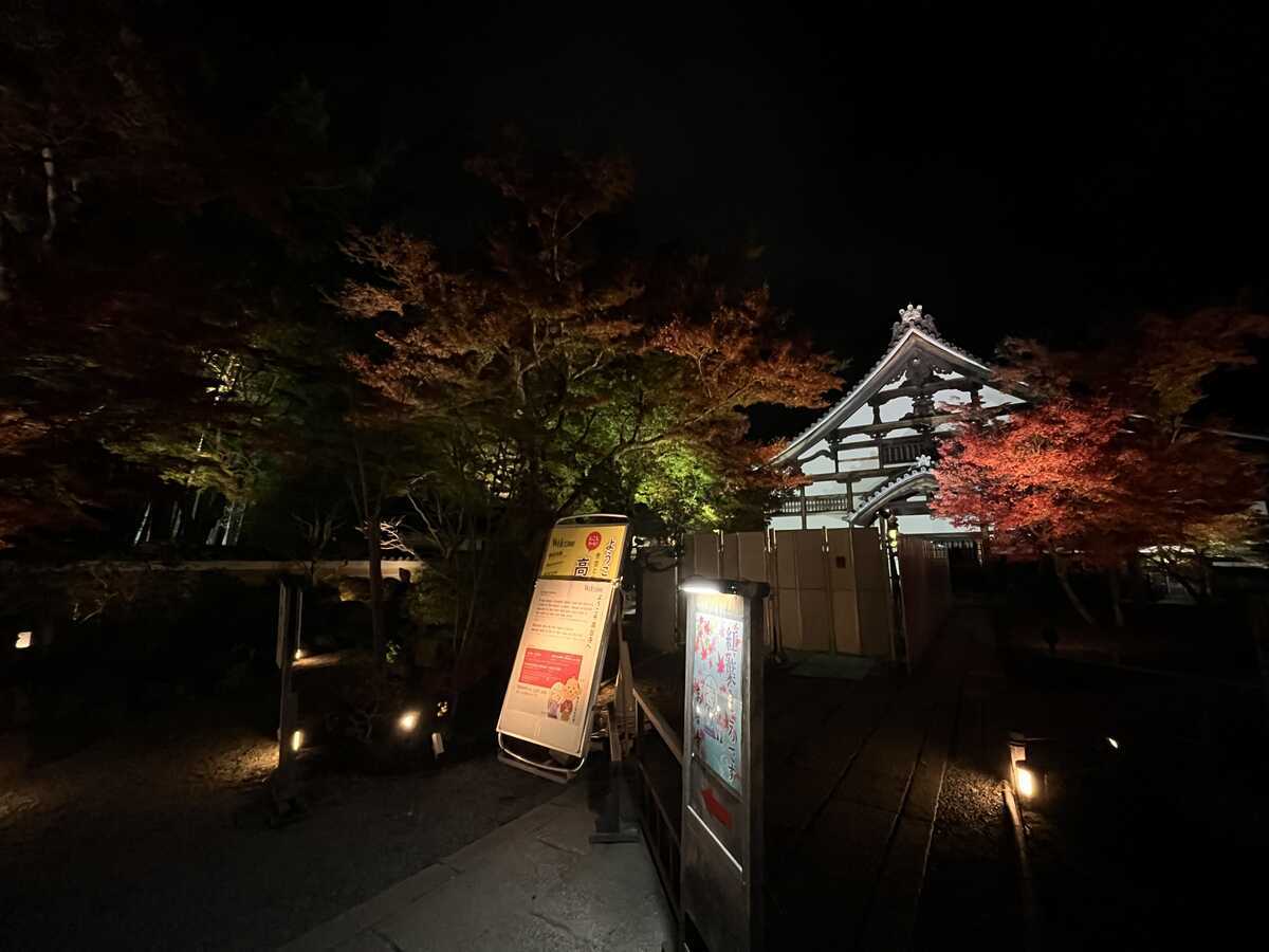 高台寺　秋の夜間特別拝観