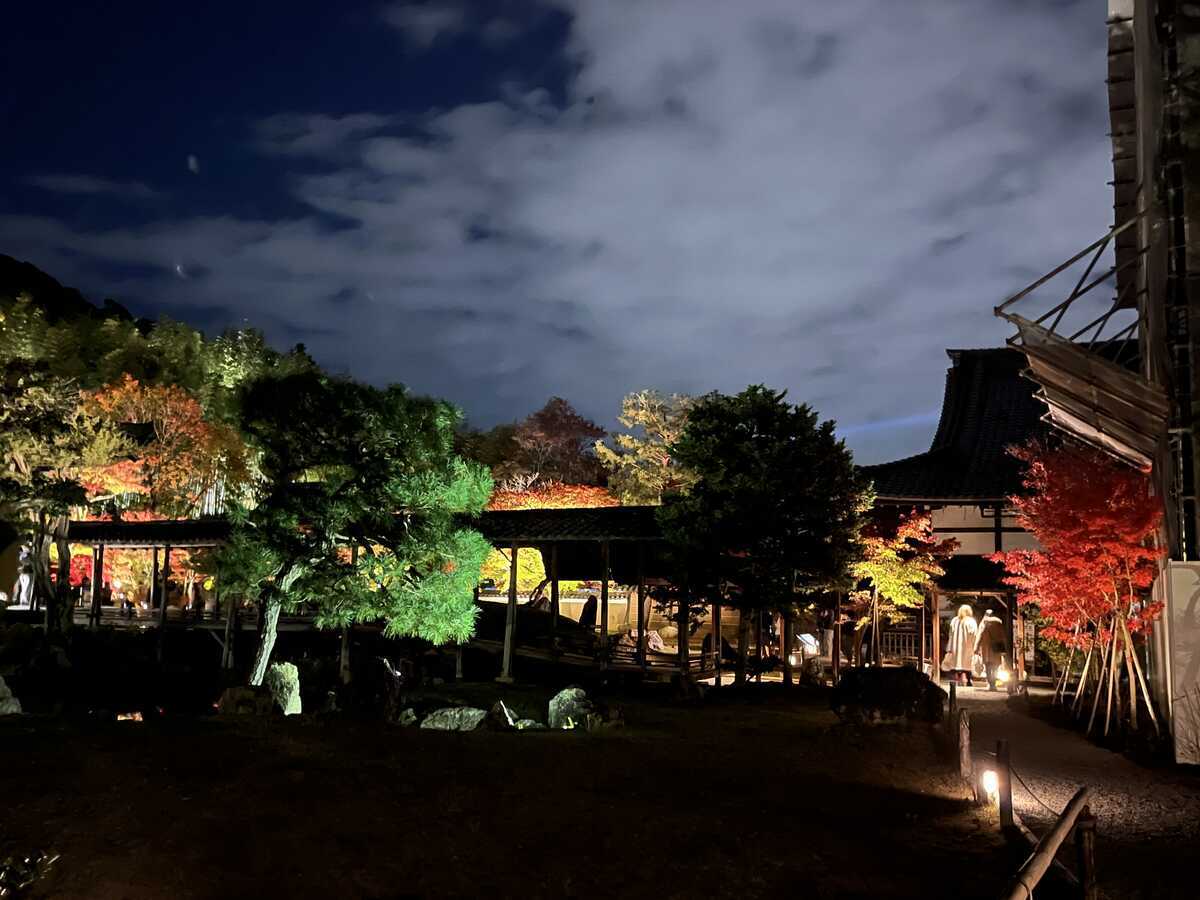 高台寺　秋の夜間特別拝観