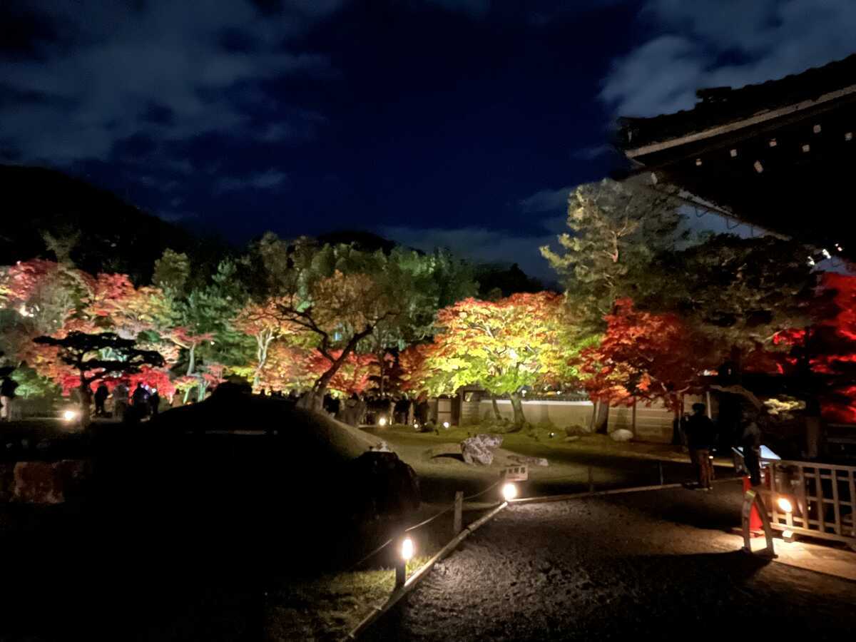 高台寺　秋の夜間特別拝観