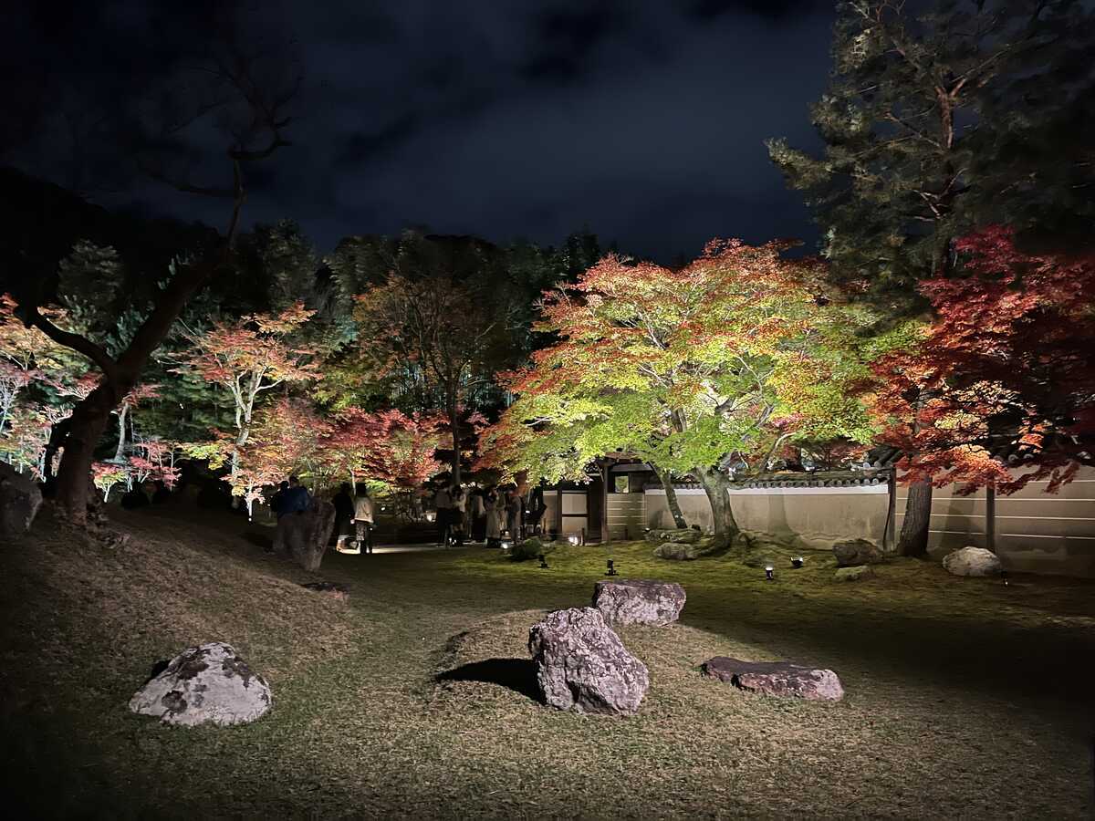 高台寺ライトアップされた庭