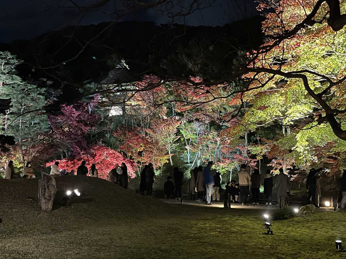 高台寺　秋の夜間特別拝観