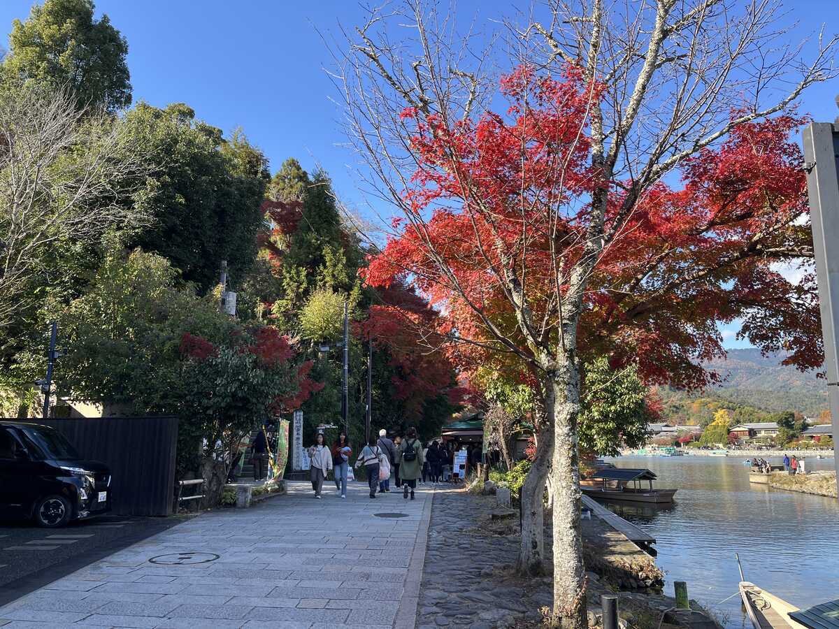 桂川右岸