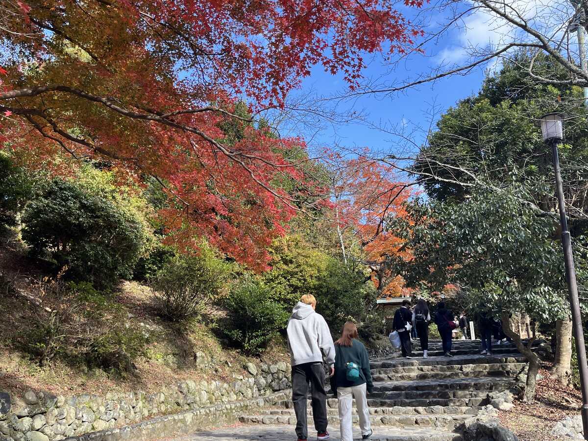 嵐山紅葉2024