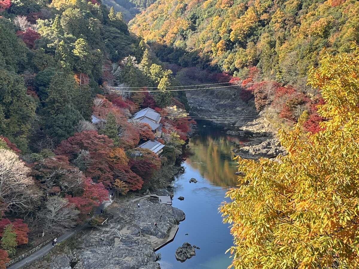嵐山公園亀山地区頂上展望台