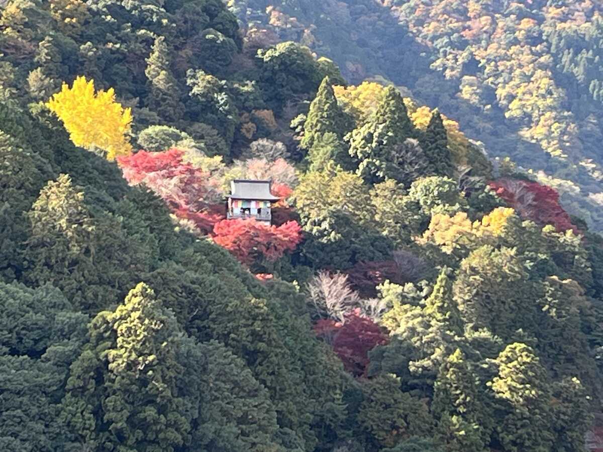 大悲閣千光寺　嵐山公園亀山地区頂上展望台から
