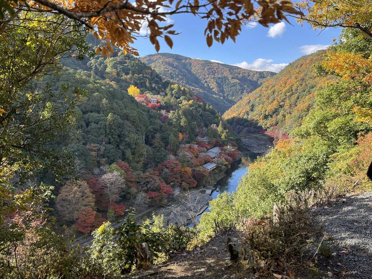 嵐峡　嵐山公園亀山地区展望所から