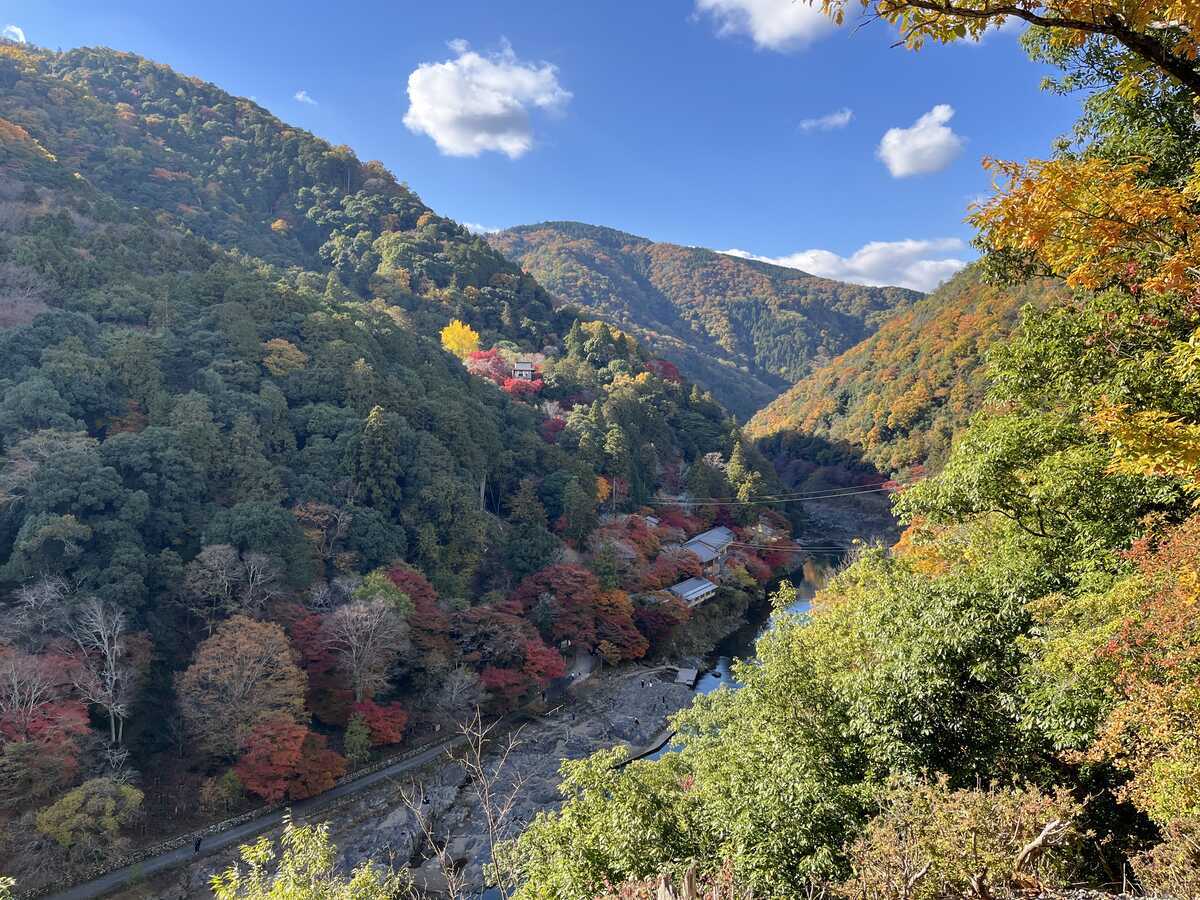 嵐峡　嵐山公園亀山地区展望所から