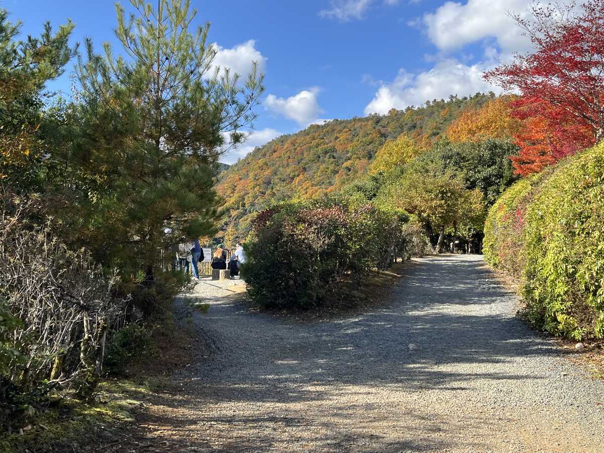 嵐山公園亀山地区展望所