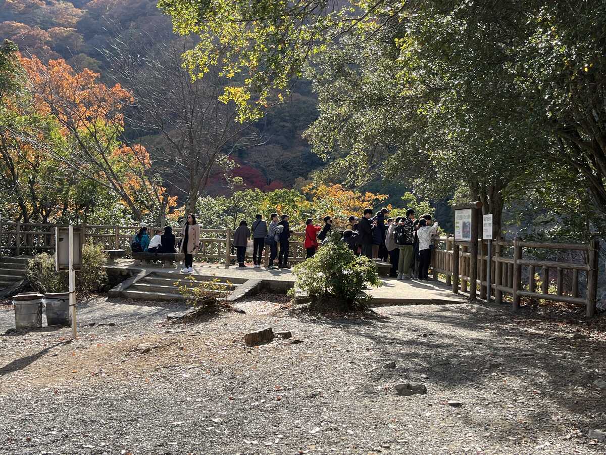 嵐山公園亀山地区頂上展望台