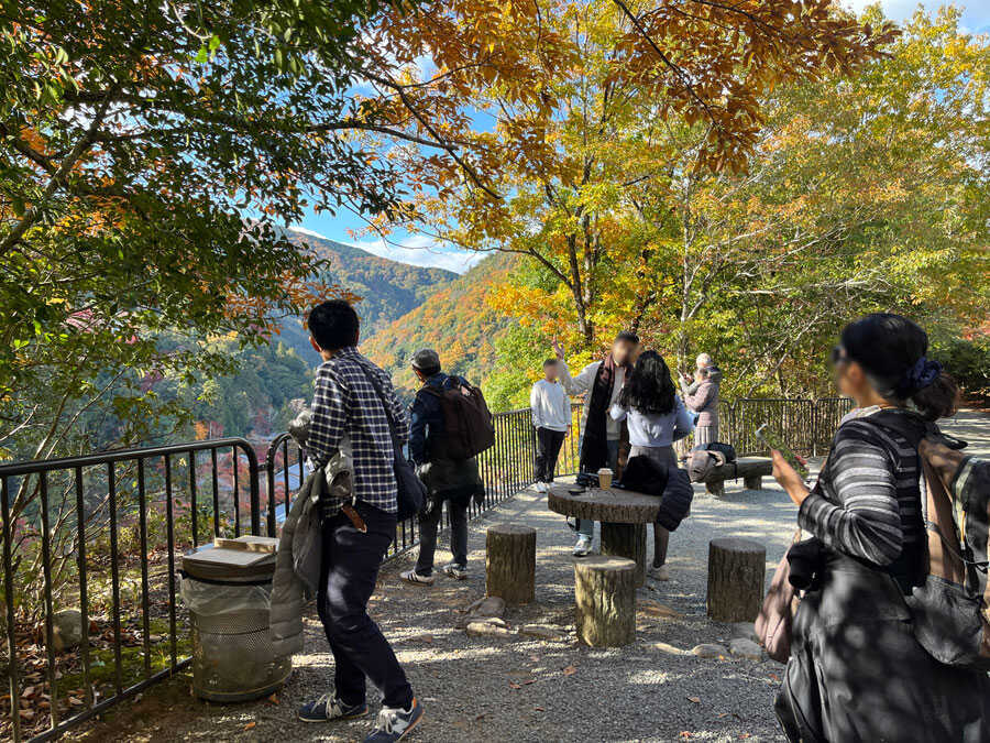 嵐山公園亀山地区頂上展望所