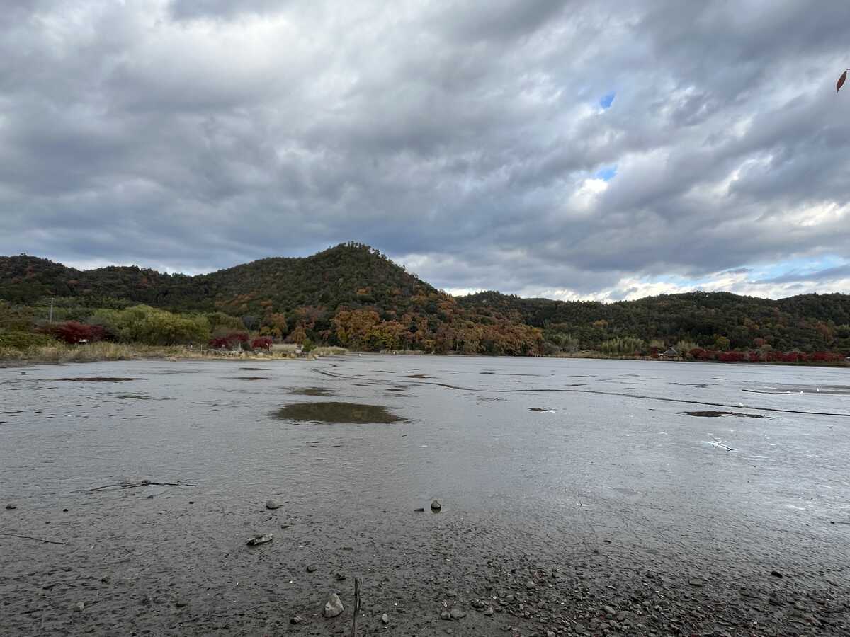 水が抜かれた広沢池