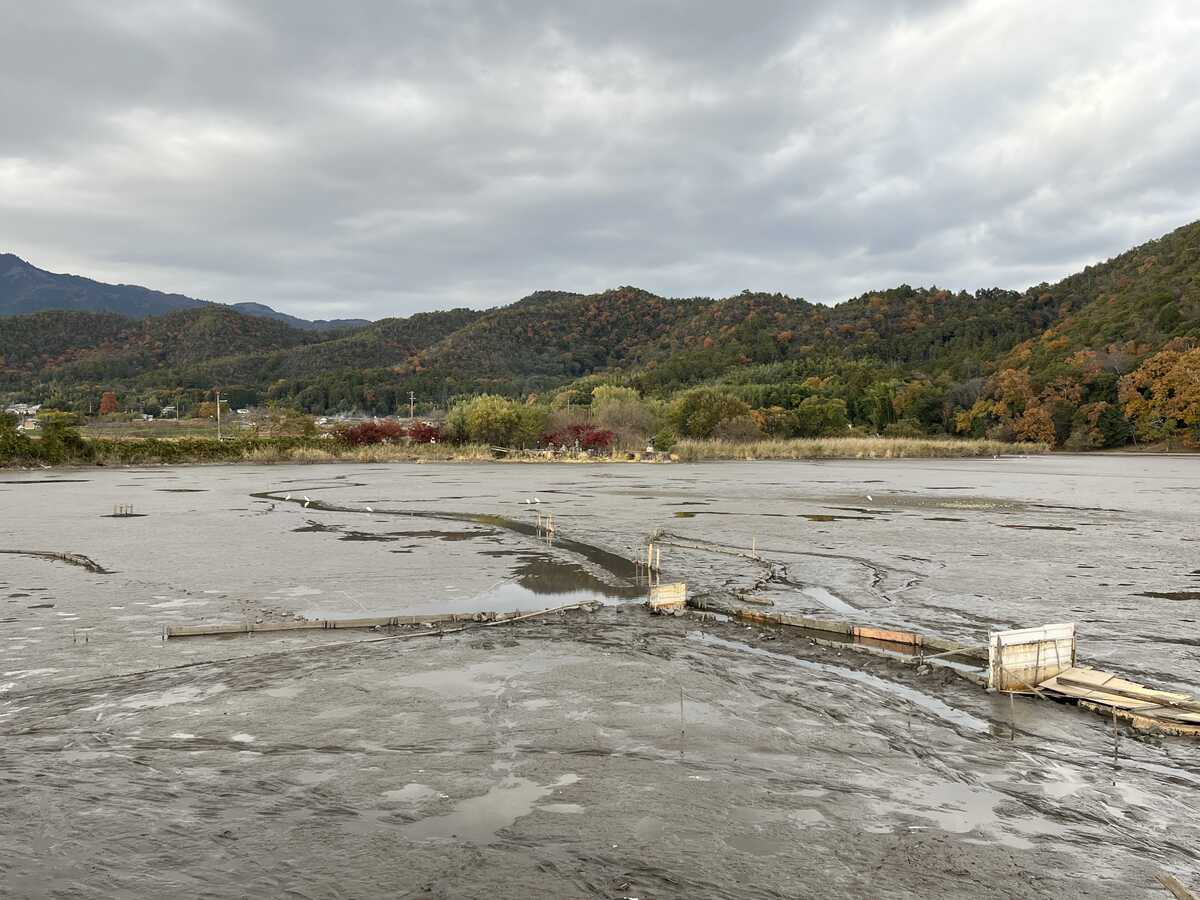 広沢の池鯉揚げ