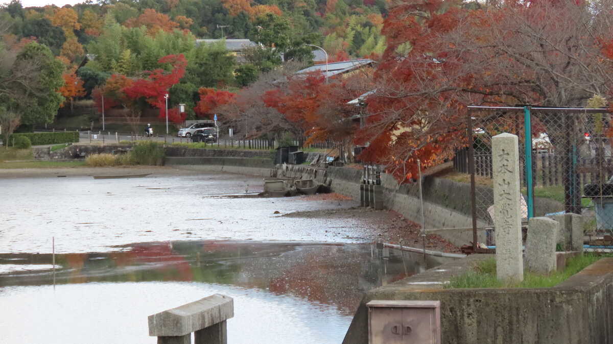広沢の池の紅葉