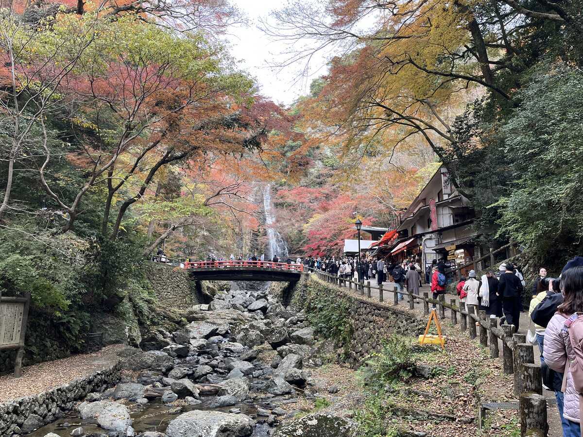 紅葉の頃の箕面大滝