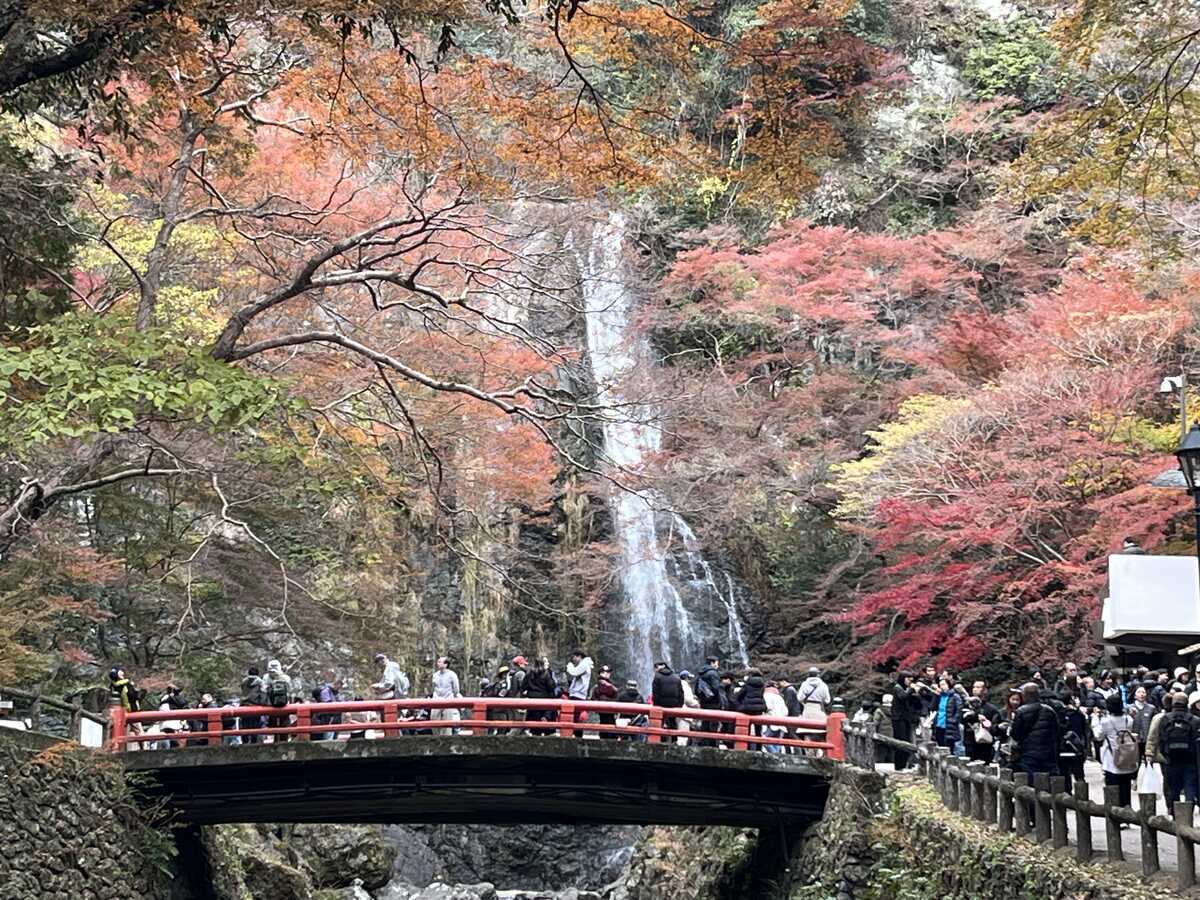 紅葉の頃の箕面大滝