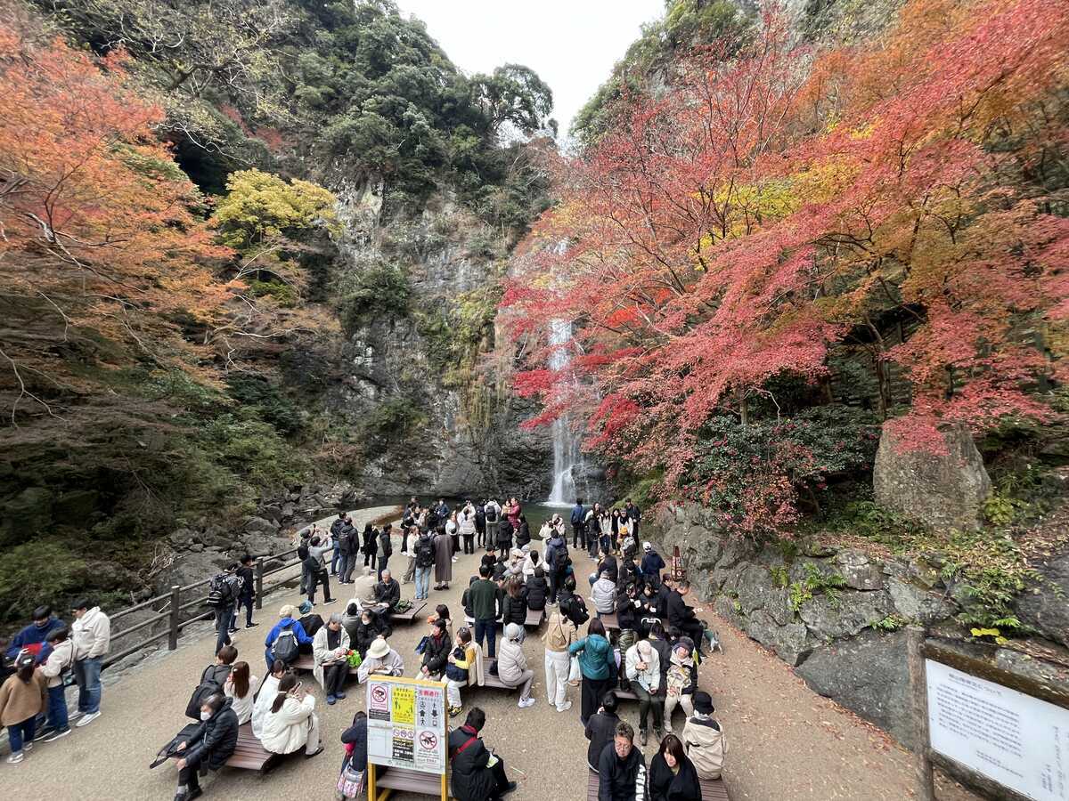 紅葉の頃の箕面大滝