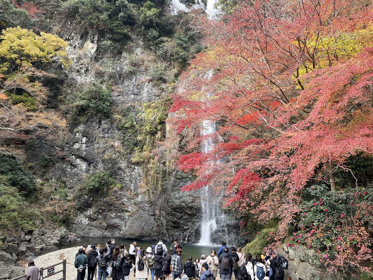 紅葉の頃箕面の大滝
