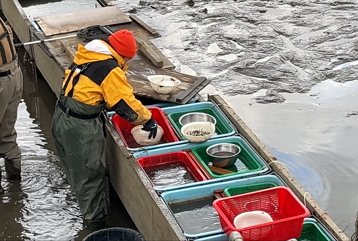 広沢の池鯉揚げ