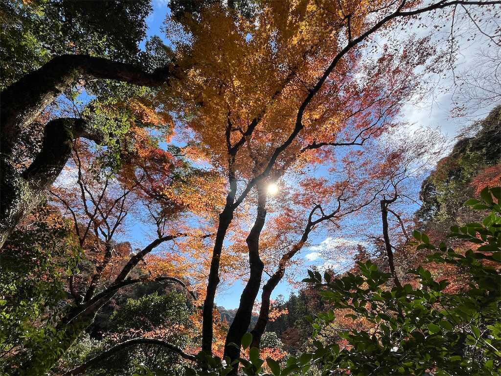 f:id:m3785com:20241212190651j:image