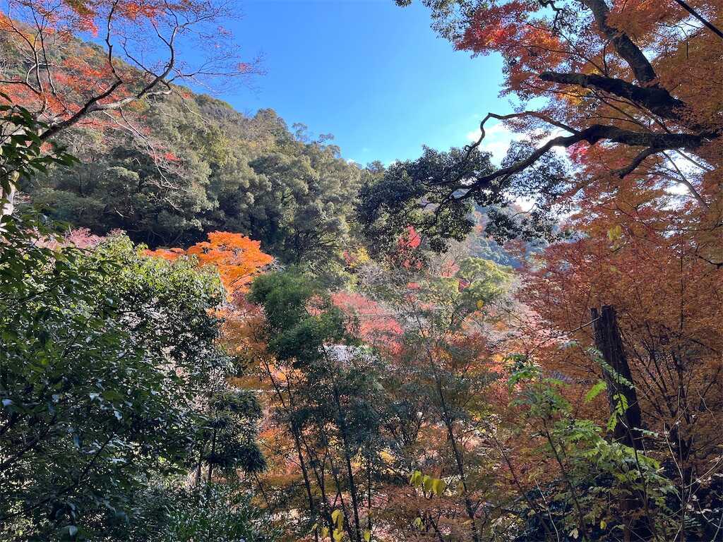f:id:m3785com:20241212190708j:image
