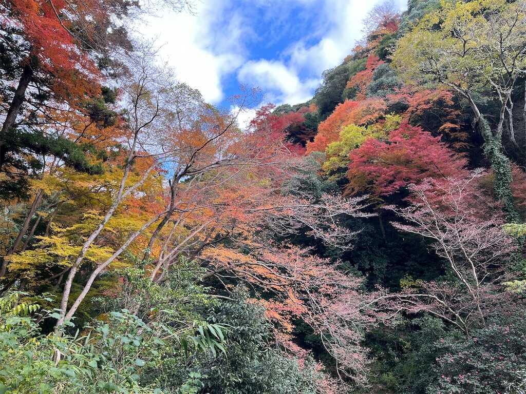 f:id:m3785com:20241212190725j:image