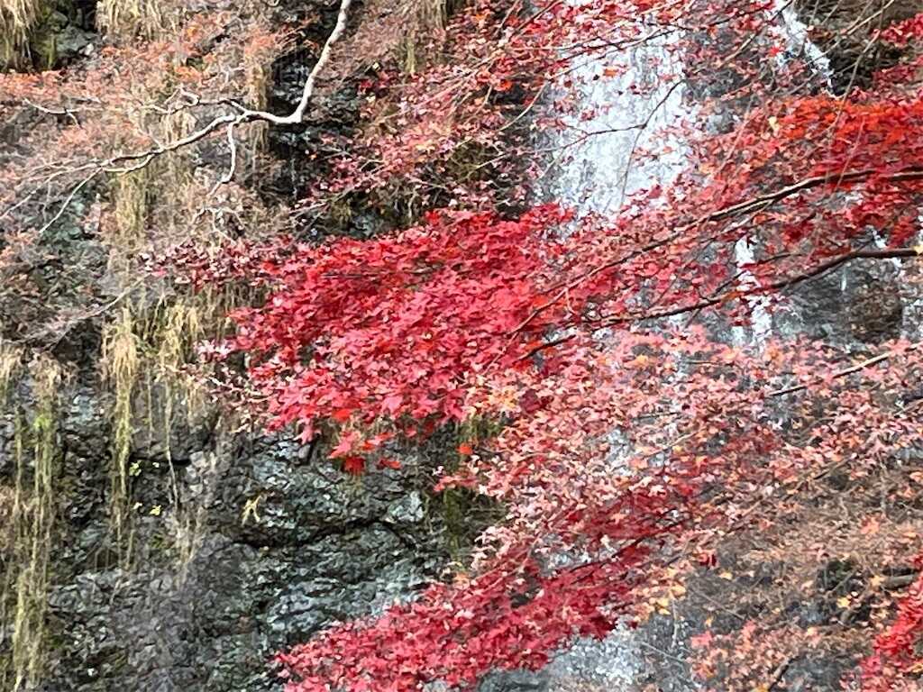 f:id:m3785com:20241212190728j:image