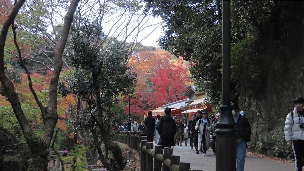 f:id:m3785com:20241212191553j:image