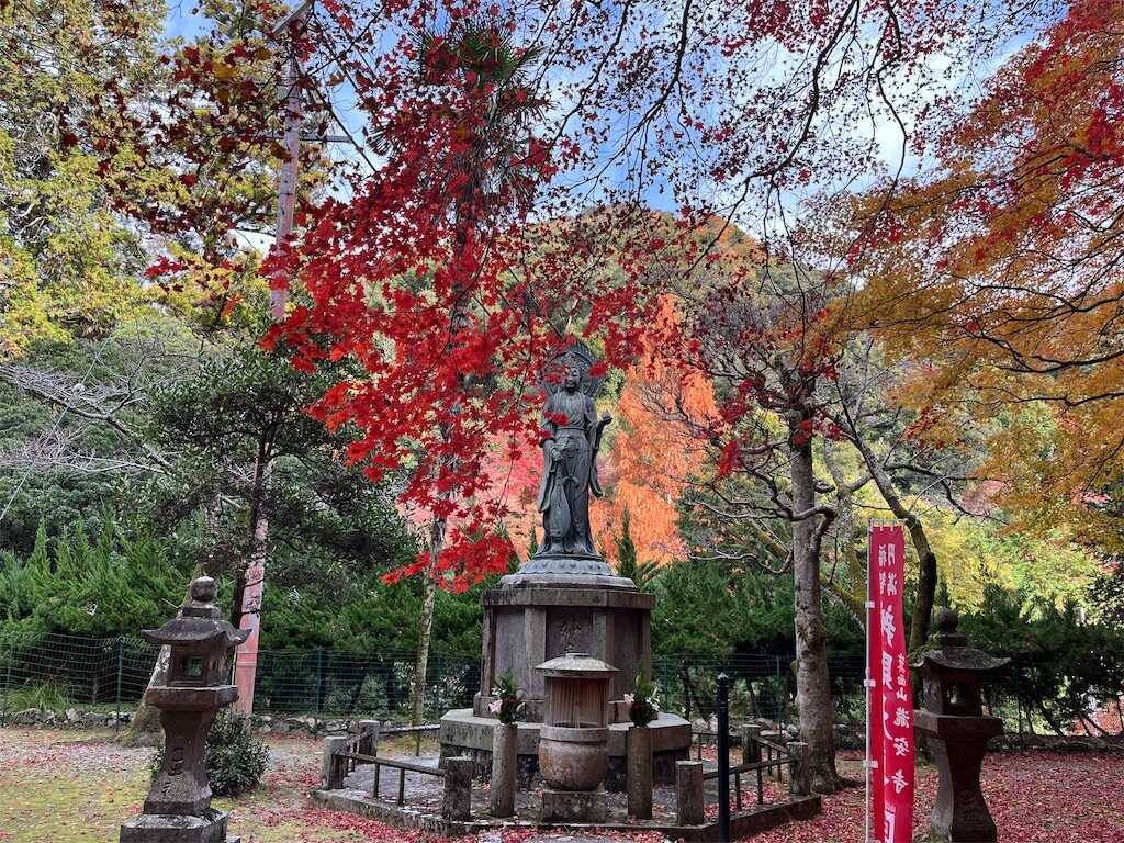 f:id:m3785com:20241212191601j:image