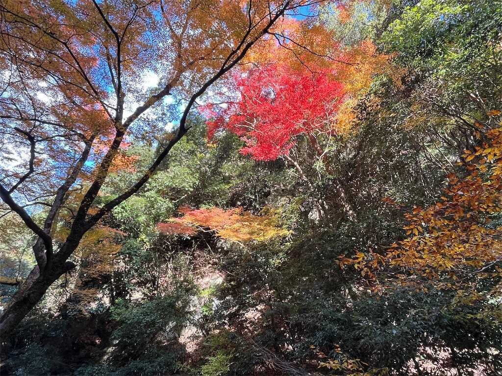 f:id:m3785com:20241212191605j:image