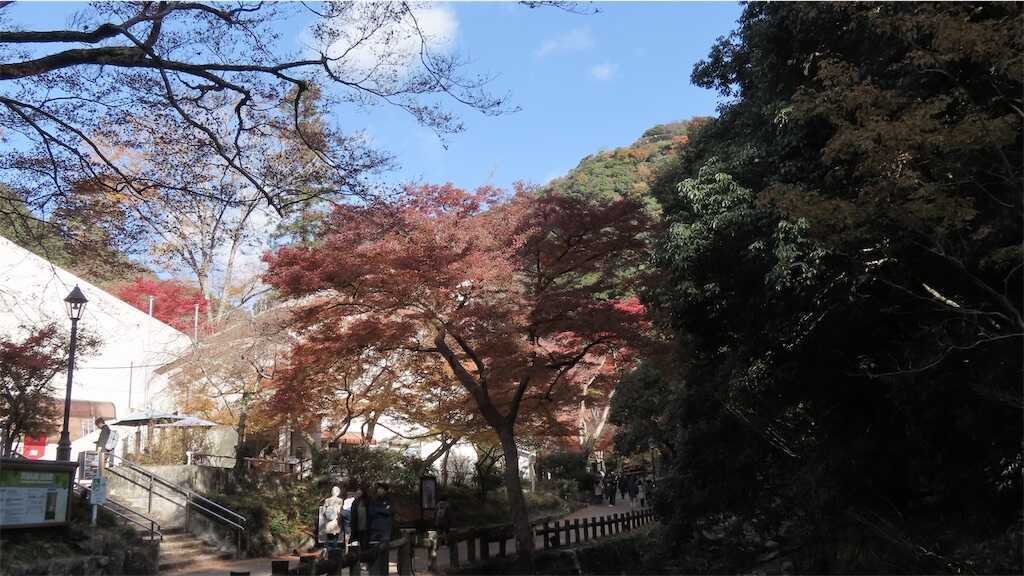 f:id:m3785com:20241212191634j:image