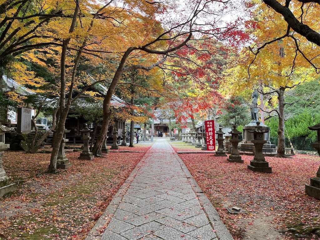f:id:m3785com:20241212191714j:image