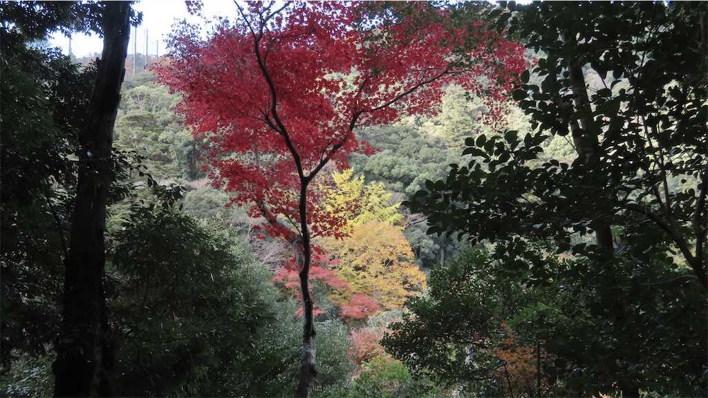 f:id:m3785com:20241213184848j:image